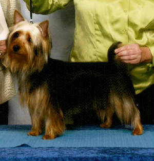 regspecialty2010crop.jpg